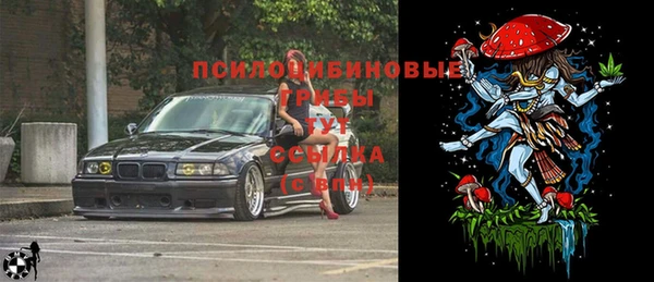 гидропоника Алексеевка